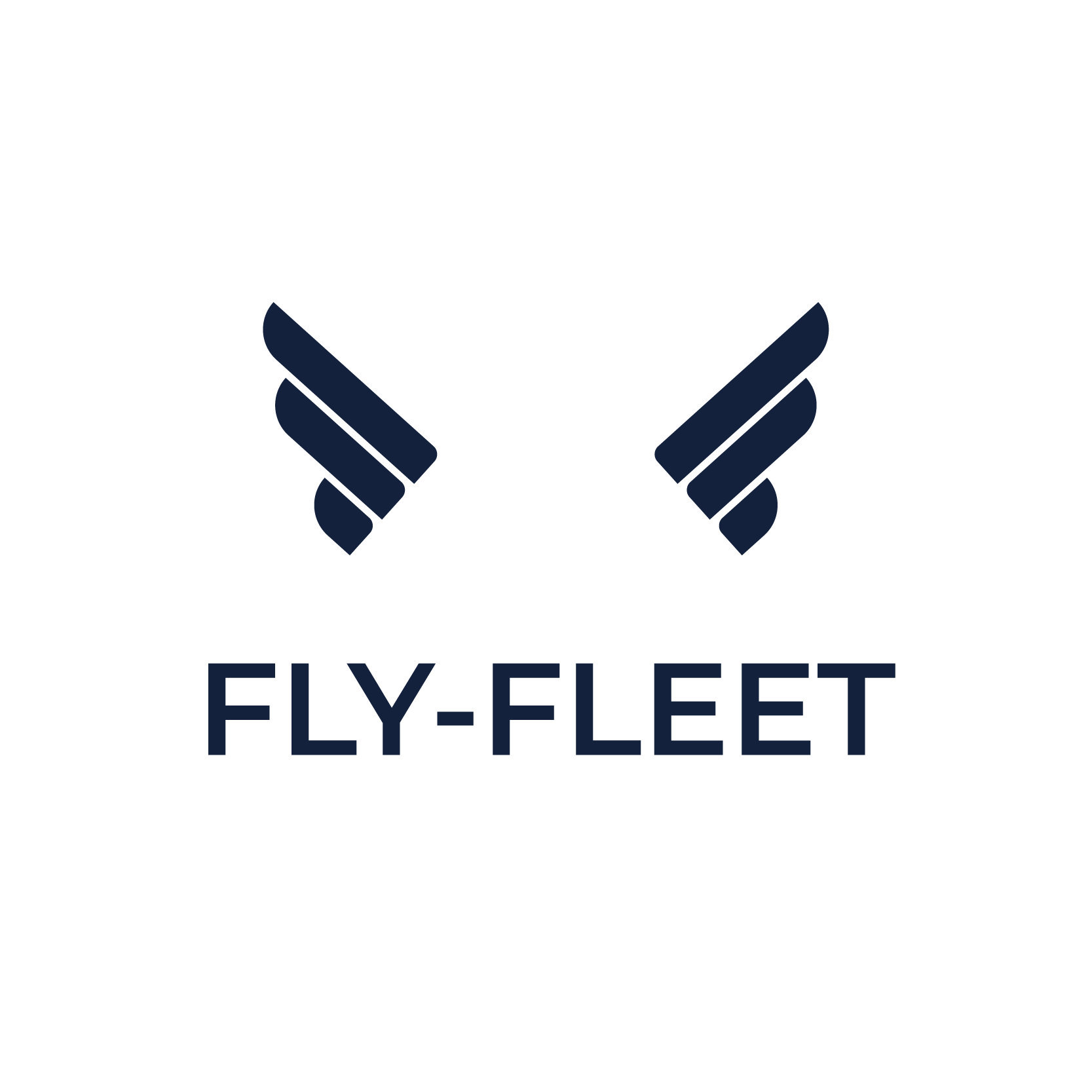 Fly-Fleet