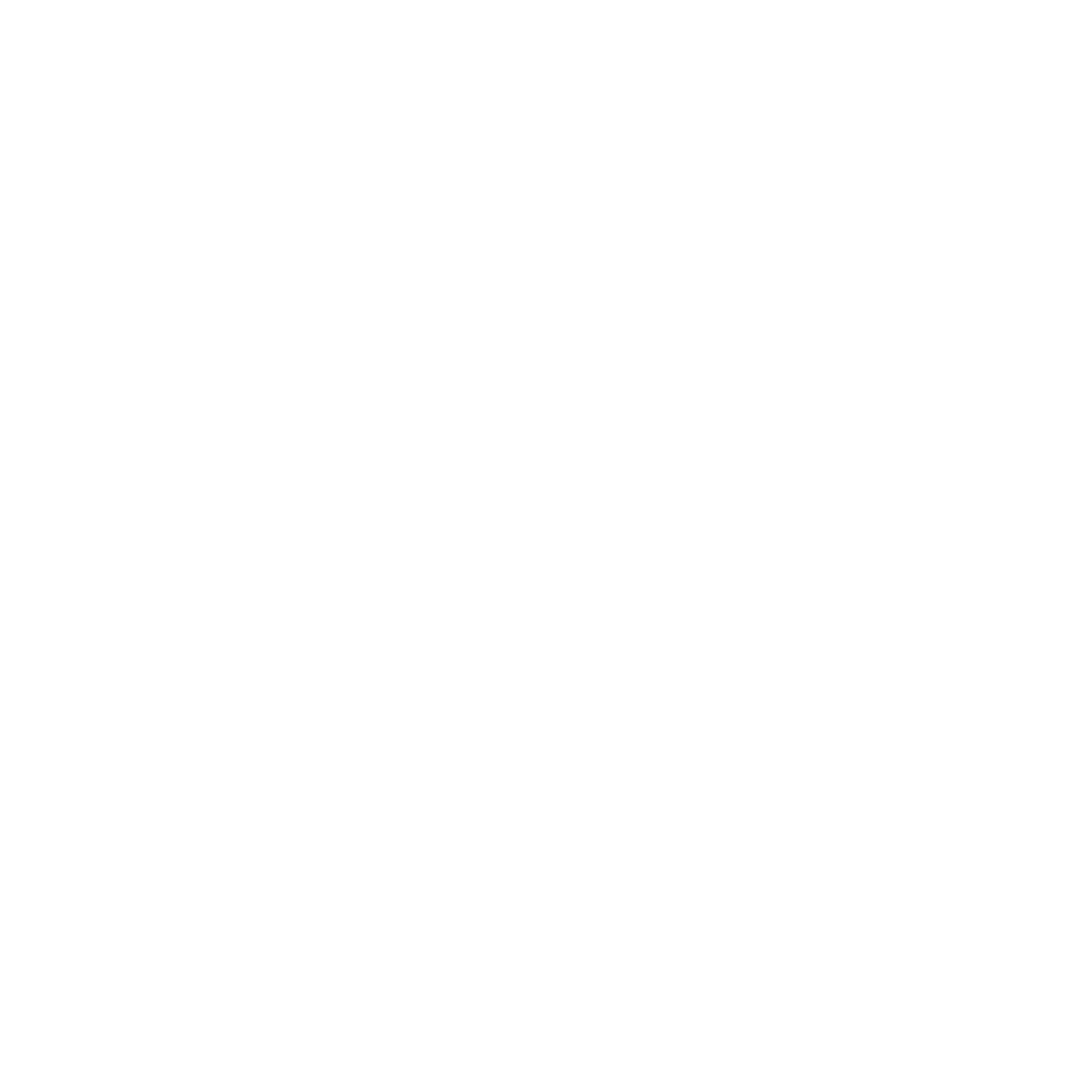 Fly-Fleet Logo